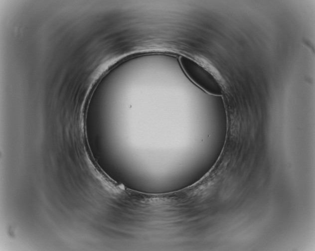 X0000096961380200802080850