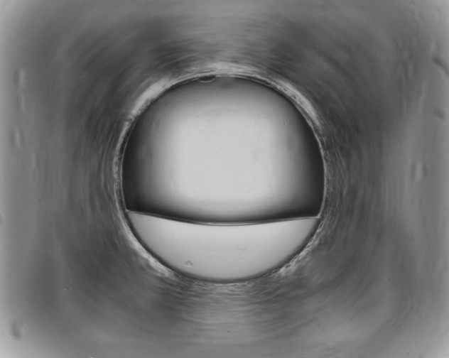 X0000096961381200802080850