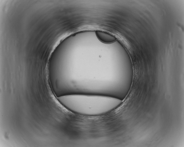 X0000096961382200802080850