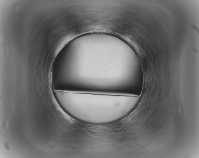 X0000096961383200802080850