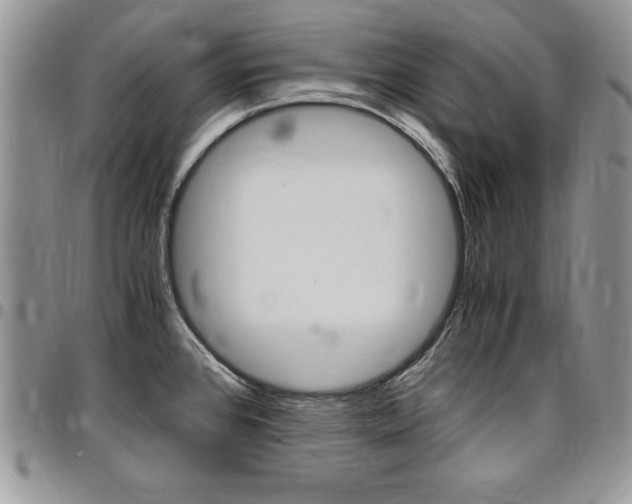 X0000096961384200802080850