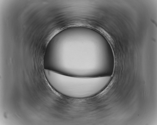X0000096961385200802080850