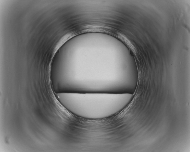 X0000096961386200802080850