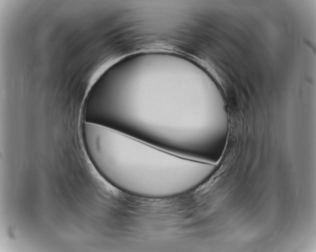 X0000096961387200802080850