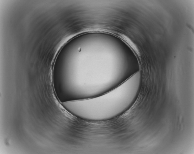 X0000096961388200802080850