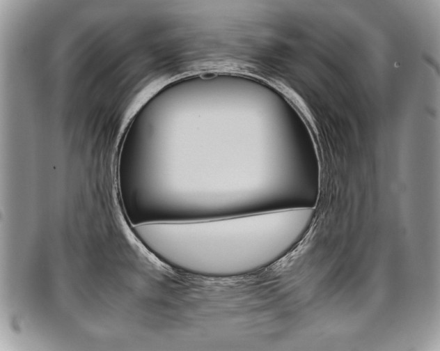 X0000096961389200802080850