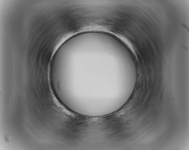 X0000096961390200802080850
