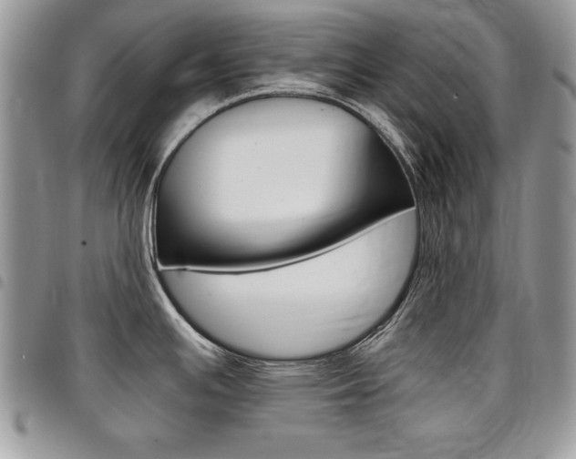 X0000096961391200802080850