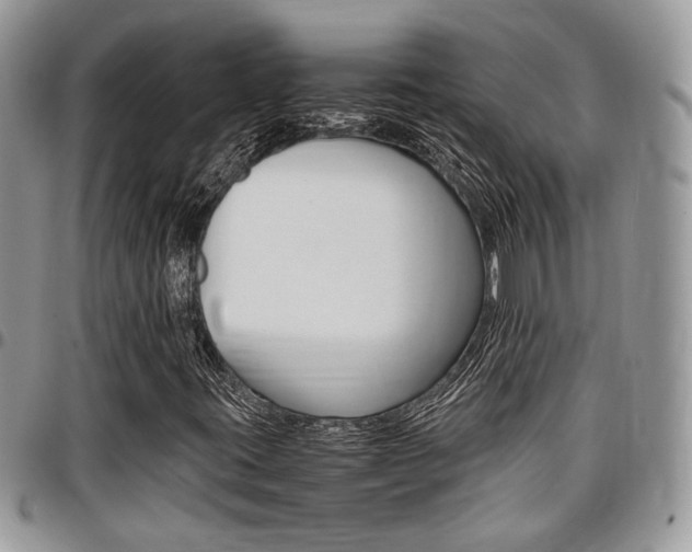 X0000096961395200802080849
