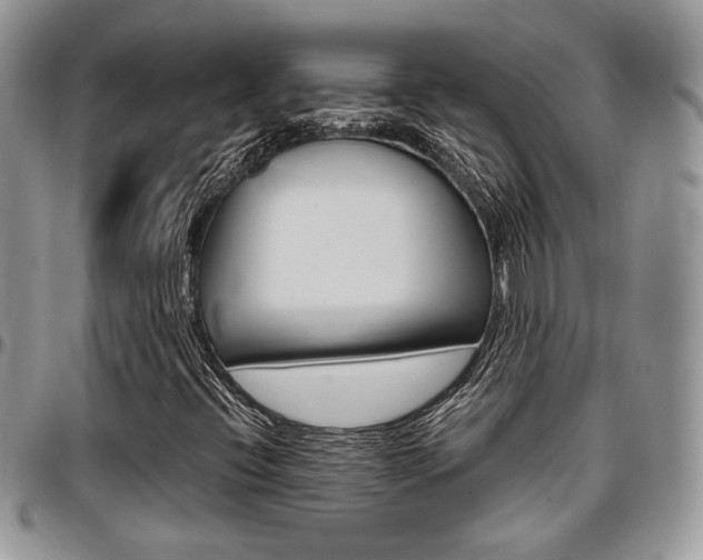X0000096961396200802080849