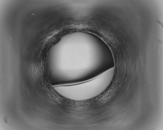 X0000096961398200802080849
