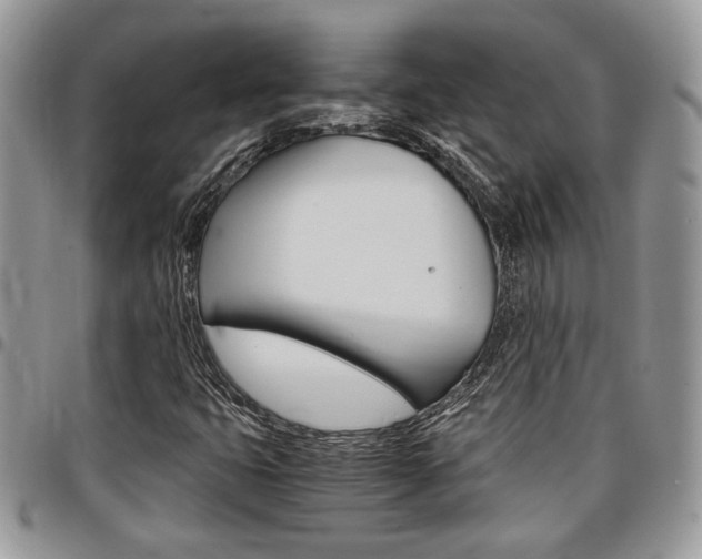 X0000096961399200802080849