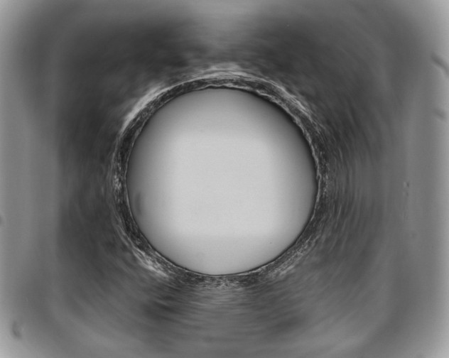 X0000096961400200802080849