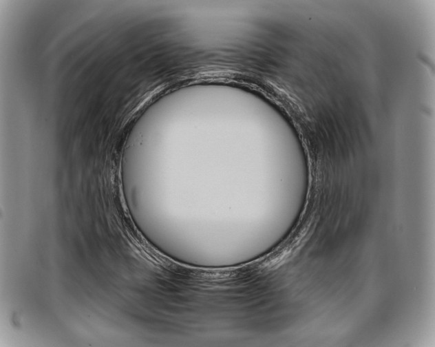 X0000096961401200802080849