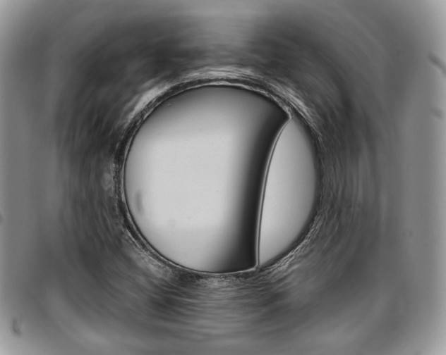 X0000096961404200802080849