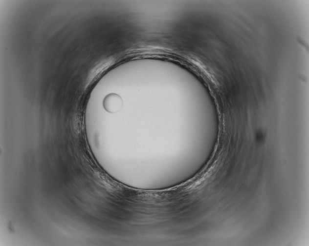 X0000096961405200802080849
