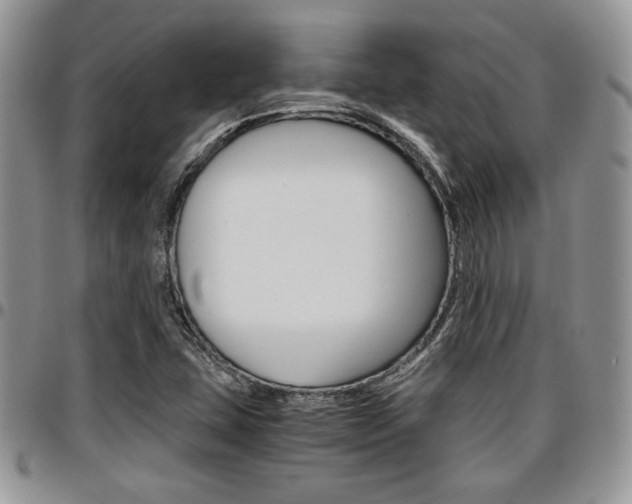 X0000096961407200802080849