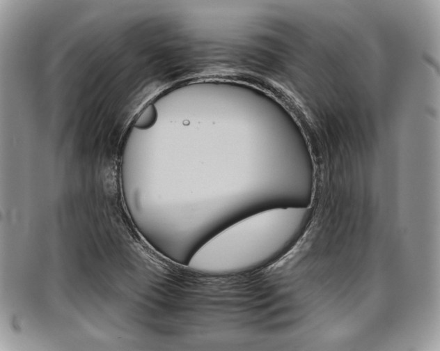 X0000096961409200802080849