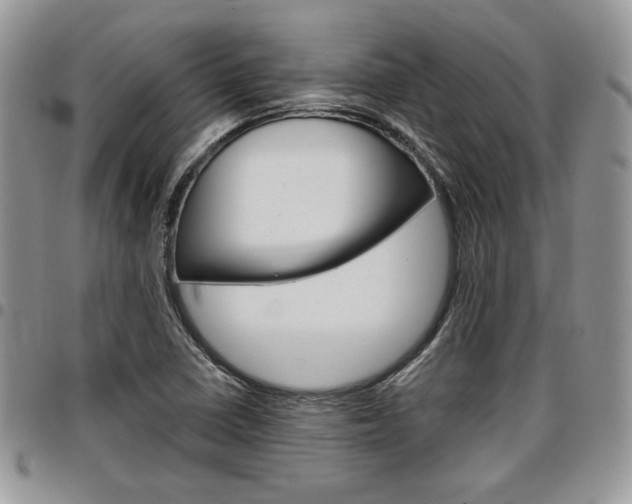 X0000096961410200802080849