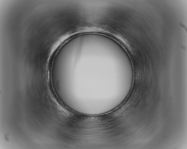 X0000096961414200802080849