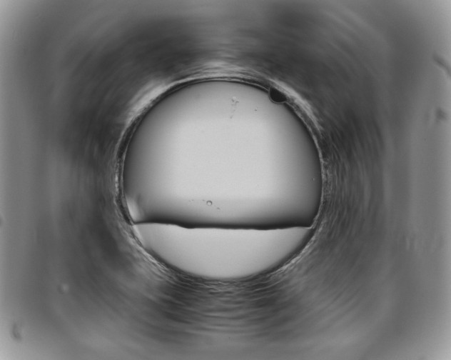 X0000096961415200802080849