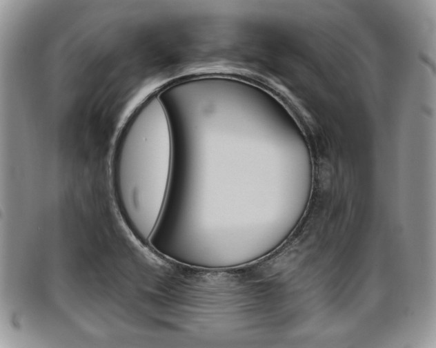 X0000096961416200802080849