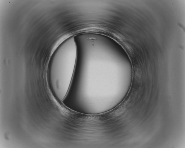X0000096961418200802080849