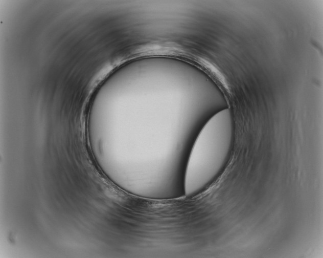X0000096961419200802080849