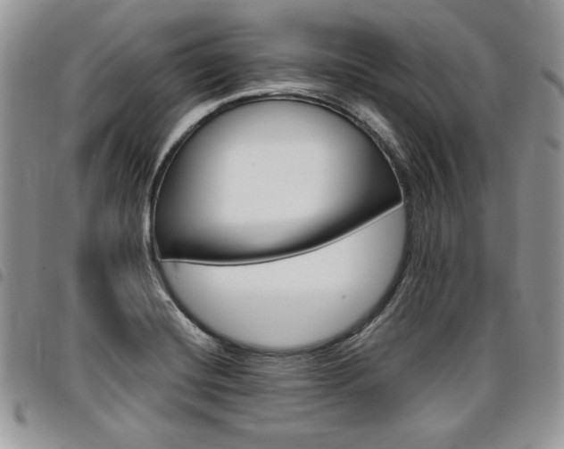 X0000096961420200802080849