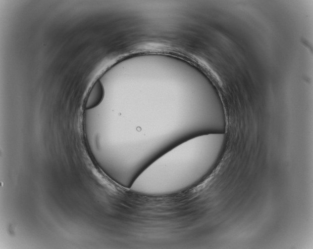 X0000096961421200802080849