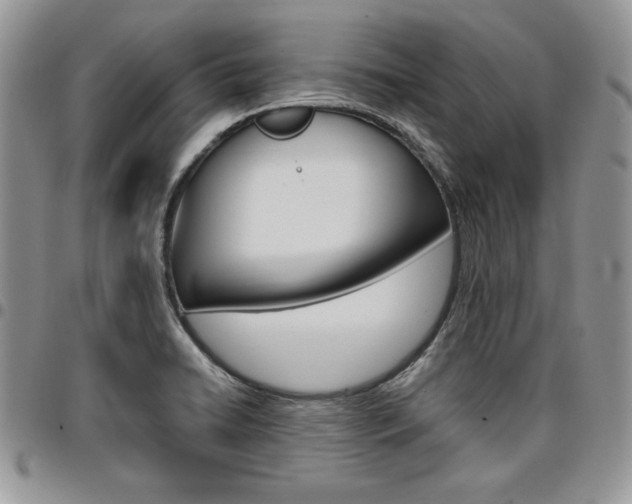 X0000096961422200802080849
