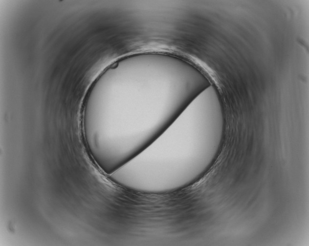 X0000096961423200802080849