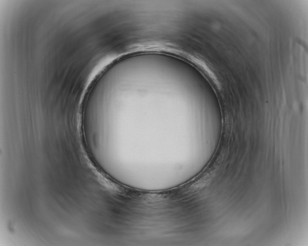 X0000096961424200802080849