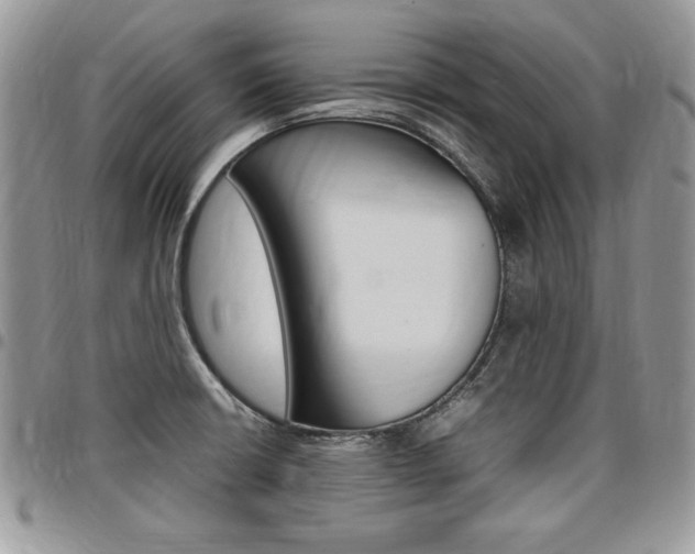 X0000096961426200802080849