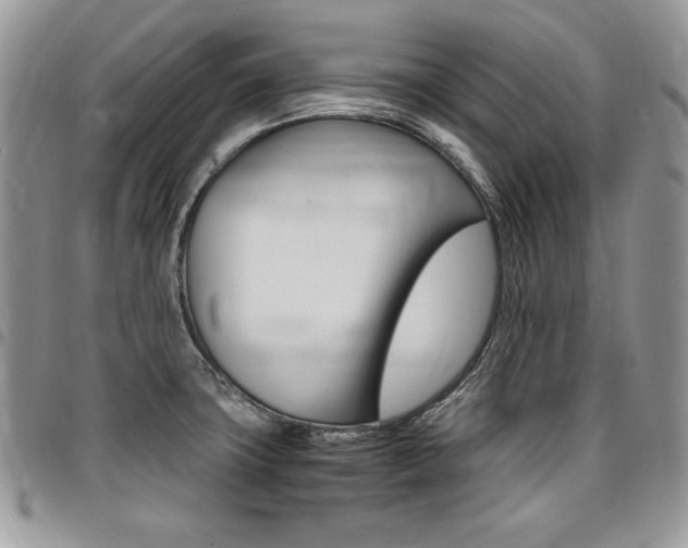 X0000096961427200802080849