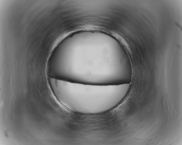 X0000096961429200802080849