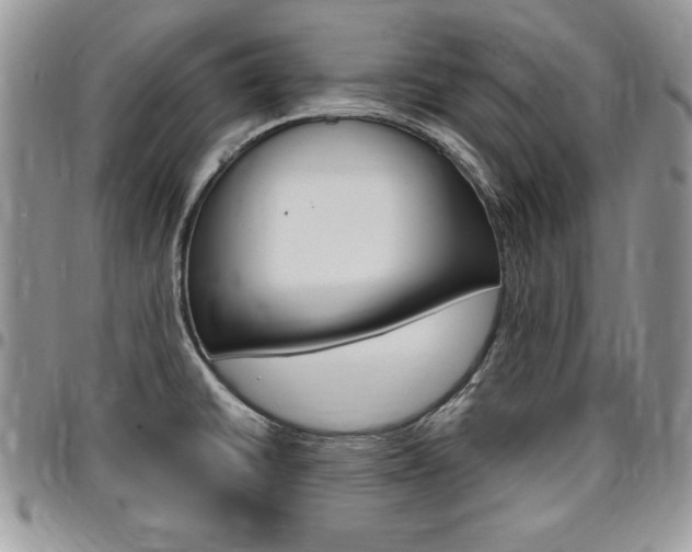 X0000096961430200802080849