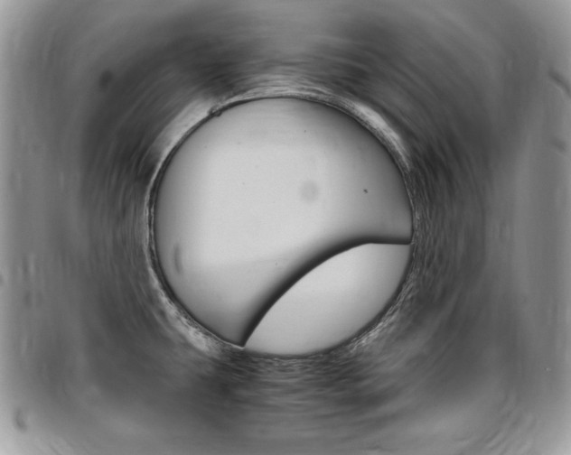 X0000096961431200802080849