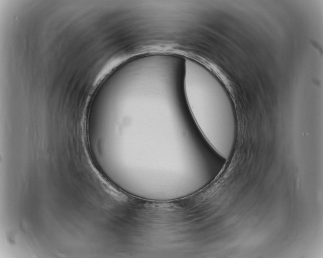 X0000096961432200802080849