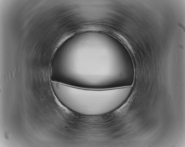 X0000096961433200802080849