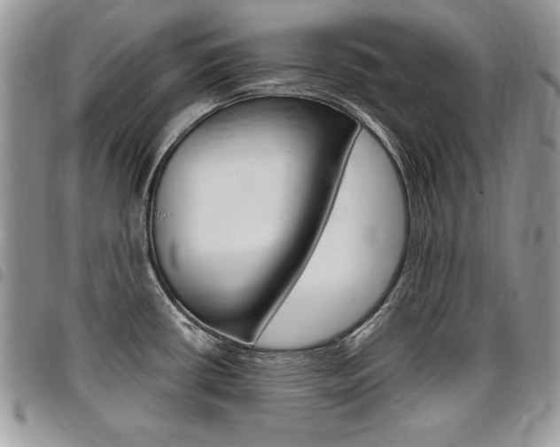X0000096961434200802080849