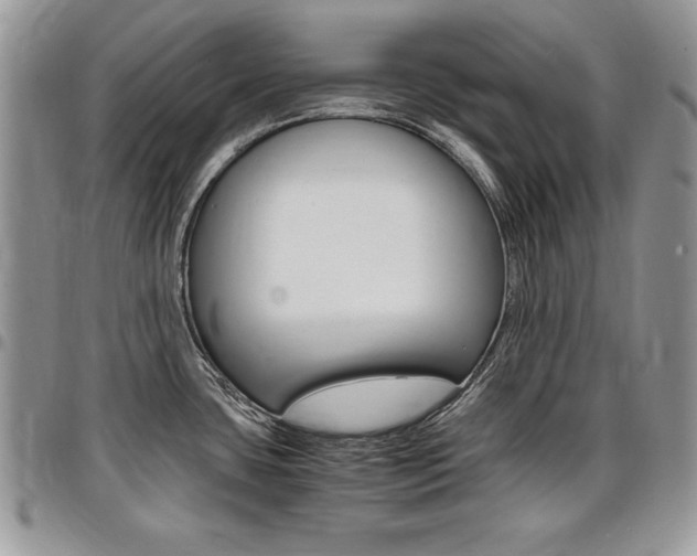 X0000096961435200802080849