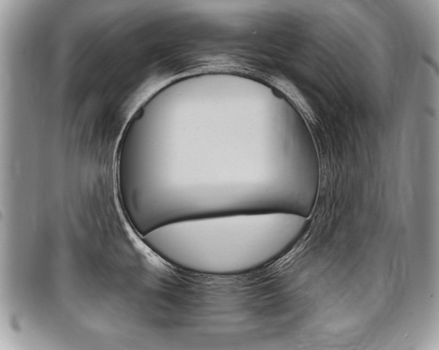 X0000096961439200802080849