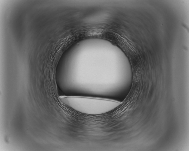 X0000096961441200802080849