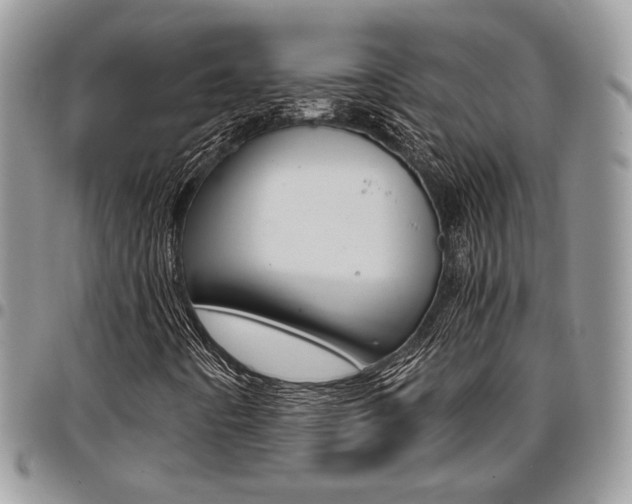 X0000096961442200802080849