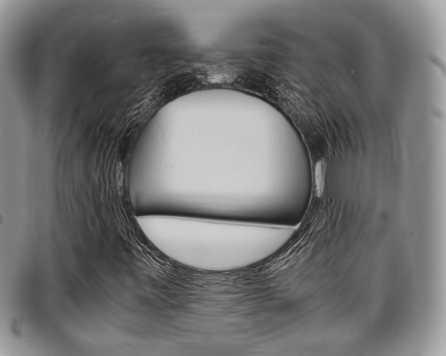 X0000096961443200802080849