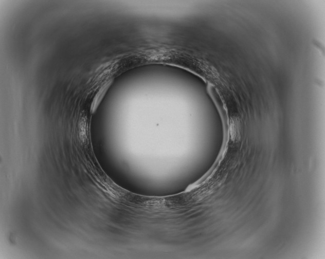 X0000096961444200802080849