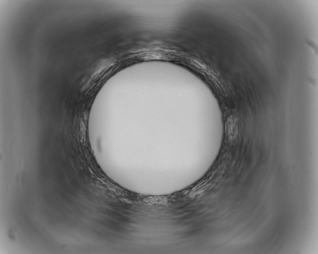 X0000096961446200802080849