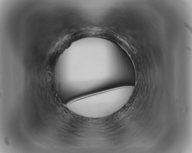 X0000096961447200802080849