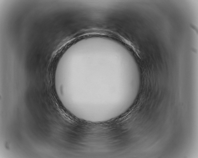 X0000096961448200802080849